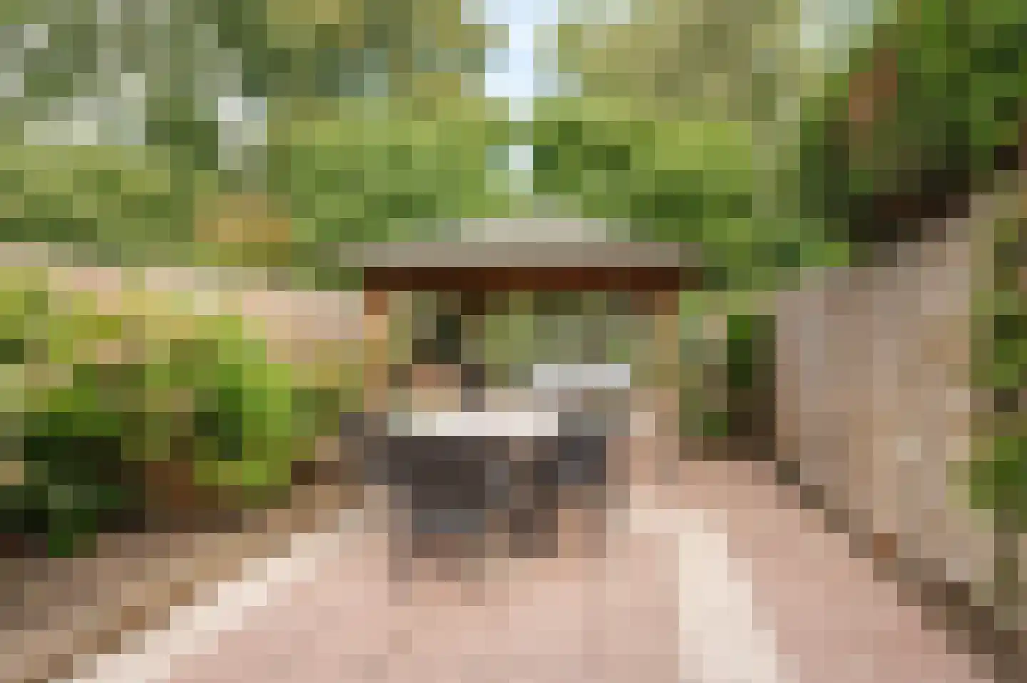 Goudse Steen 29 Wijk bij Duurstede thumbnail 33