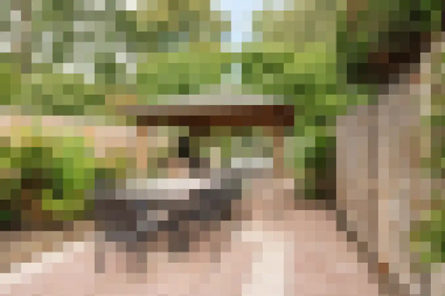 Goudse Steen 29 Wijk bij Duurstede thumbnail 34