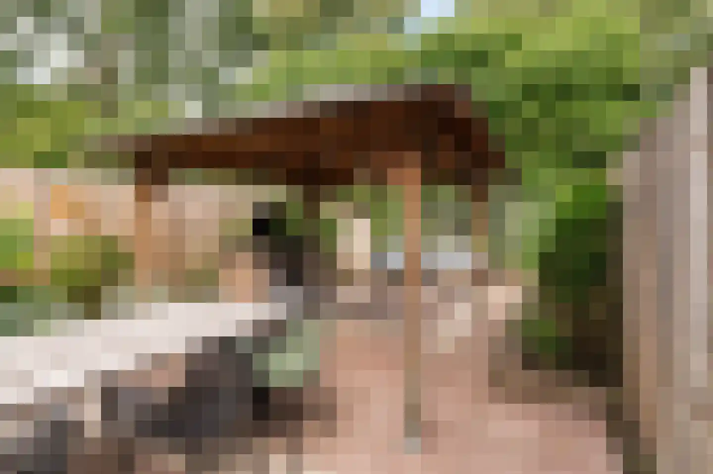 Goudse Steen 29 Wijk bij Duurstede thumbnail 35