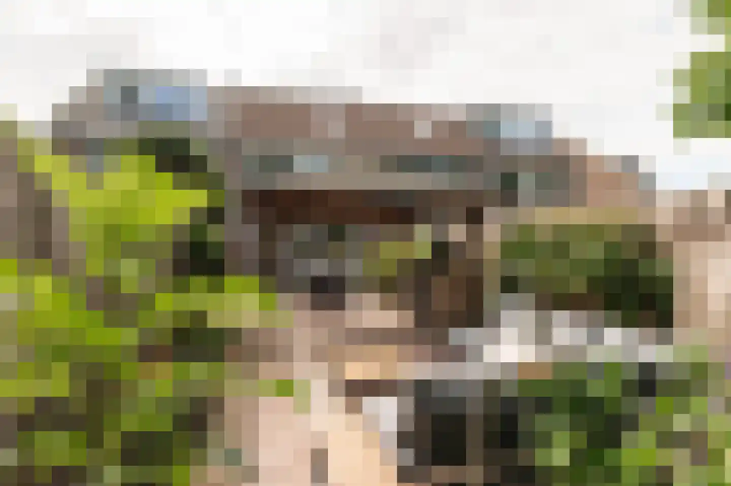 Goudse Steen 29 Wijk bij Duurstede thumbnail 38