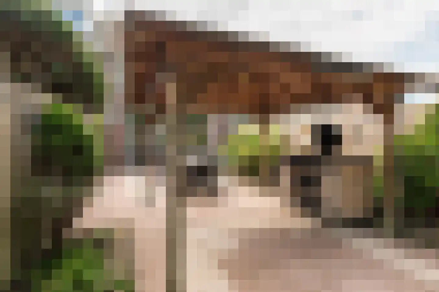 Goudse Steen 29 Wijk bij Duurstede thumbnail 39