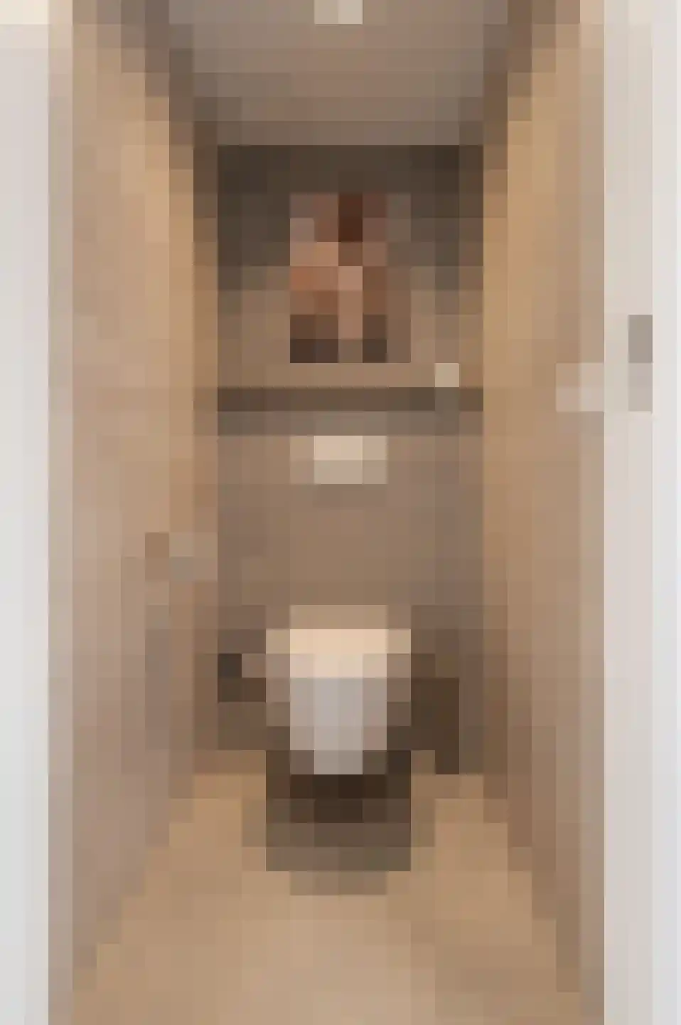 Goudse Steen 29 Wijk bij Duurstede thumbnail 6