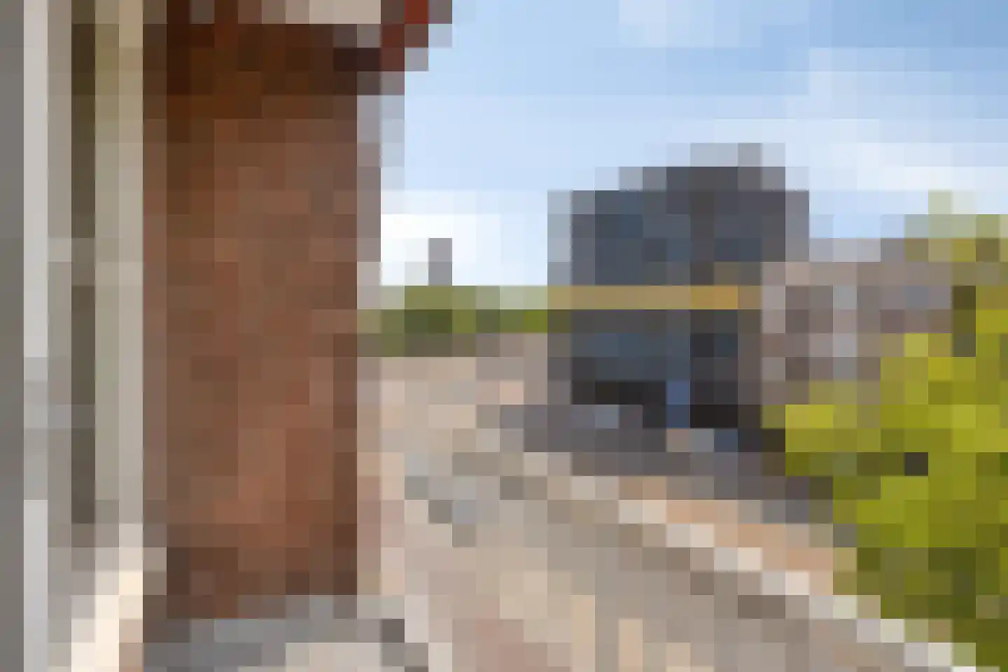 Goudsesingel 15 E Rotterdam thumbnail 22