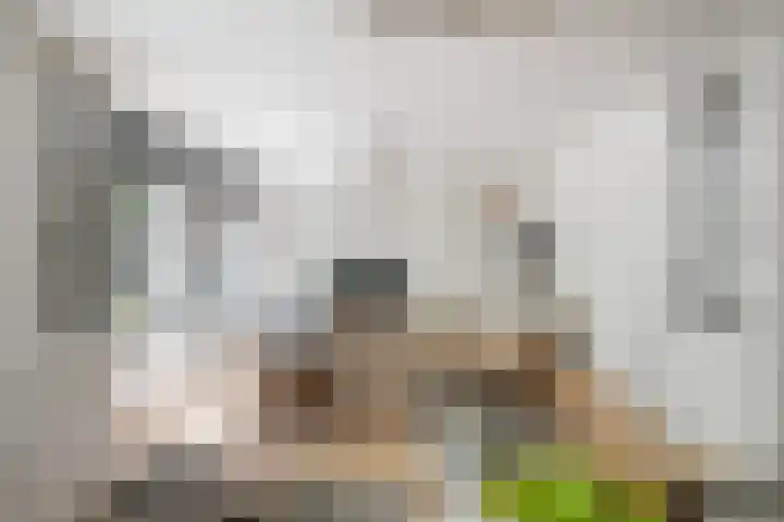 Goudsesingel 21 F Rotterdam thumbnail 6