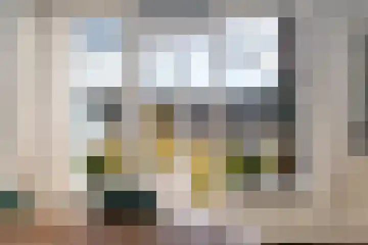 Goudsesingel 21 F Rotterdam thumbnail 9