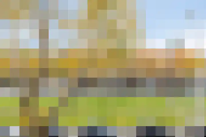 Goudsesingel 221 C Rotterdam thumbnail 14