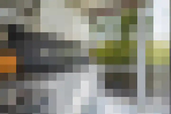 Goudsesingel 227 A Rotterdam thumbnail 10