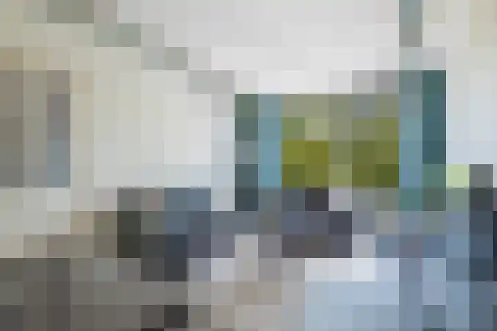 Goudsesingel 227 A Rotterdam thumbnail 6