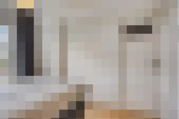 Goudsesingel 23 E Rotterdam thumbnail 14