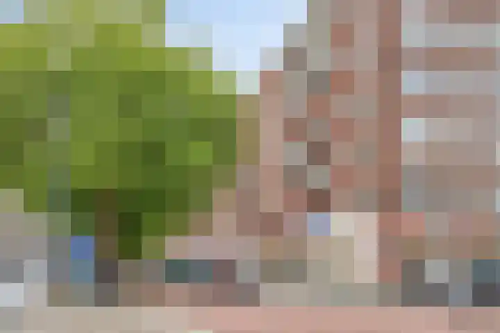 Goudsesingel 23 E Rotterdam thumbnail 25