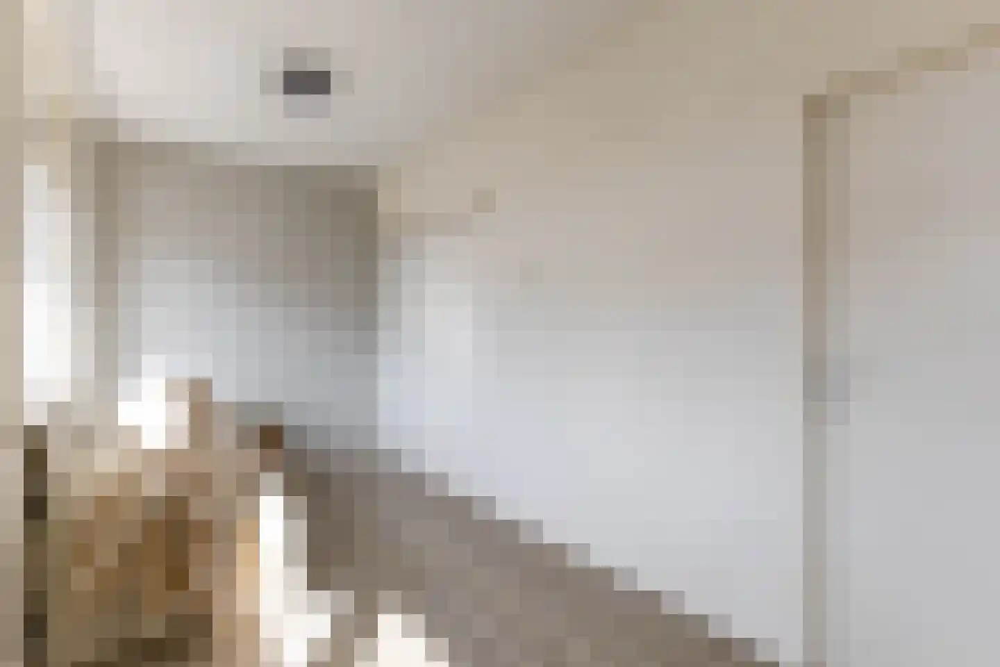 Goudsesingel 242 D Rotterdam thumbnail 20