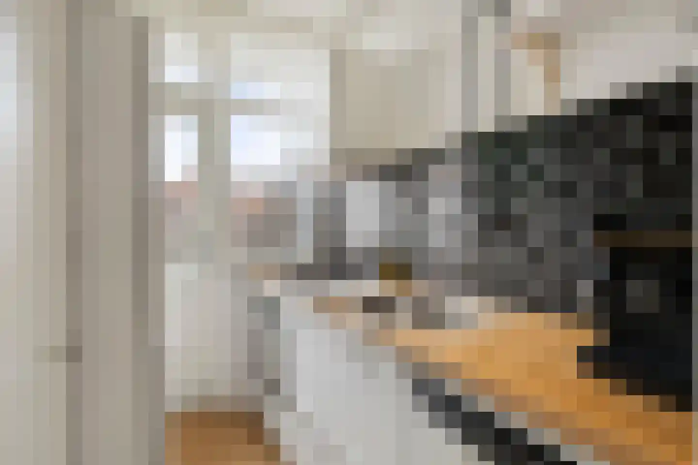 Goudsesingel 254 D Rotterdam thumbnail 16