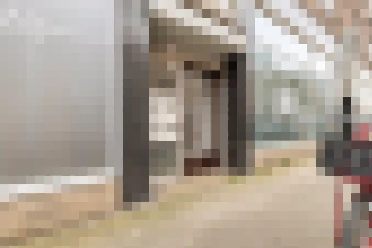 Goudsesingel 254 D Rotterdam thumbnail 6