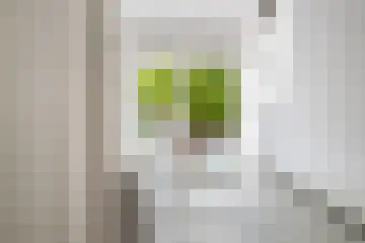 Goudsesingel 258 B Rotterdam thumbnail 19
