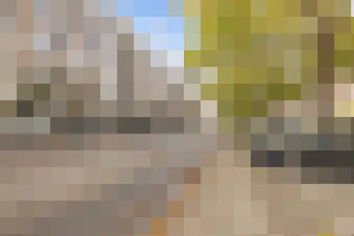 Goudsesingel 27 D Rotterdam thumbnail 31