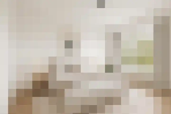 Goudsesingel 27 D Rotterdam thumbnail 4