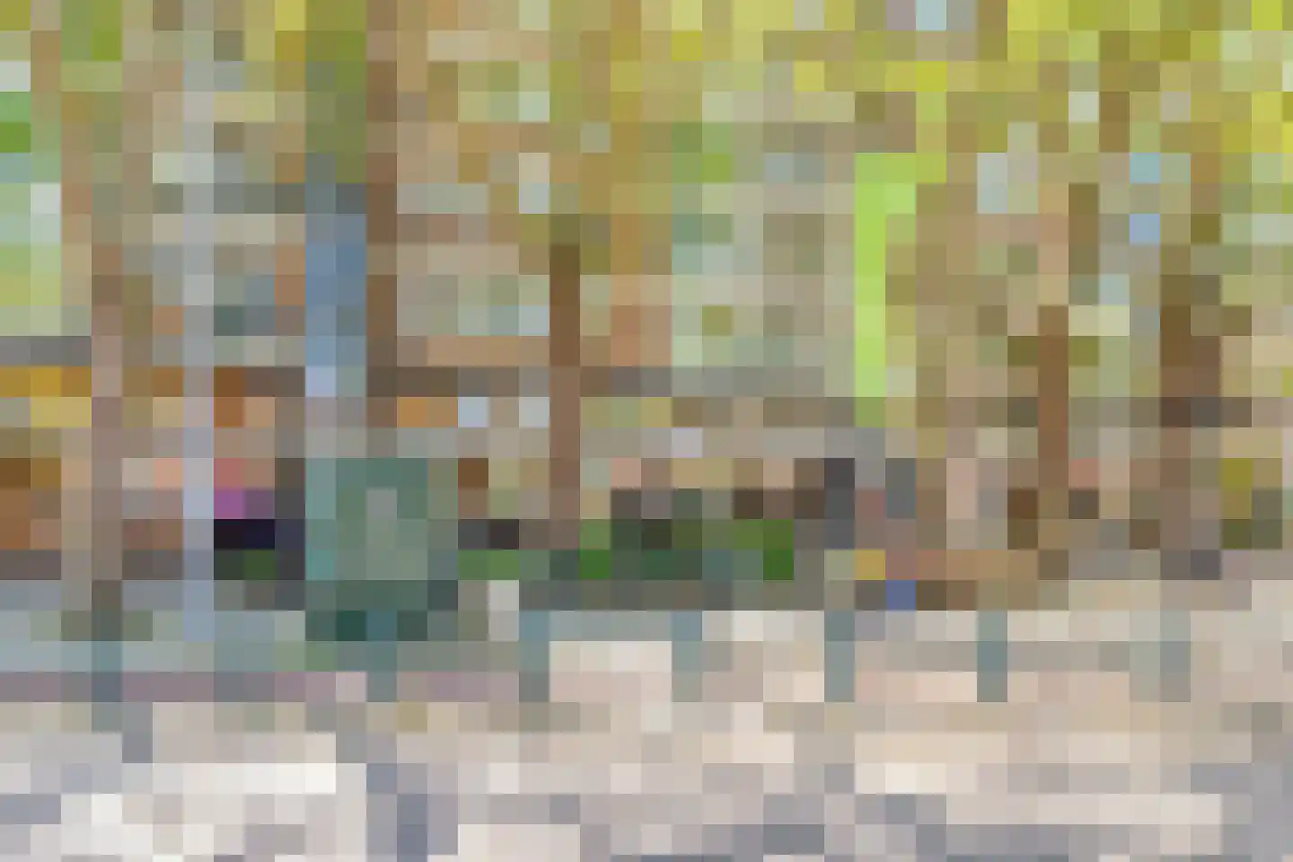 Goudsesingel 280 E Rotterdam thumbnail 4