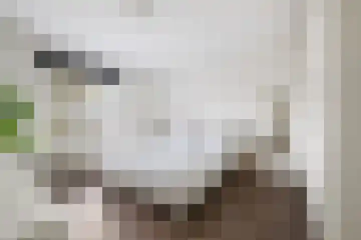 Goudsesingel 31 D Rotterdam thumbnail 15