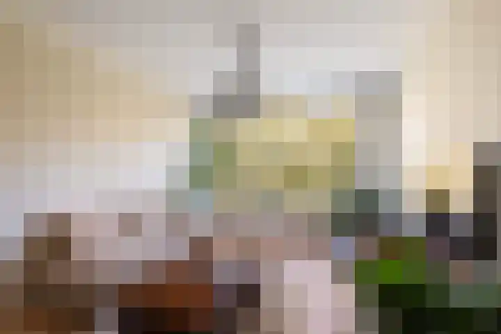 Goudsesingel 334 E Rotterdam thumbnail 6