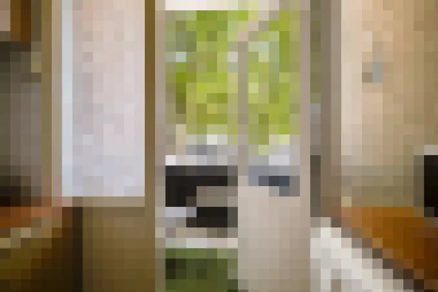 Goudsesingel 350 Rotterdam thumbnail 13