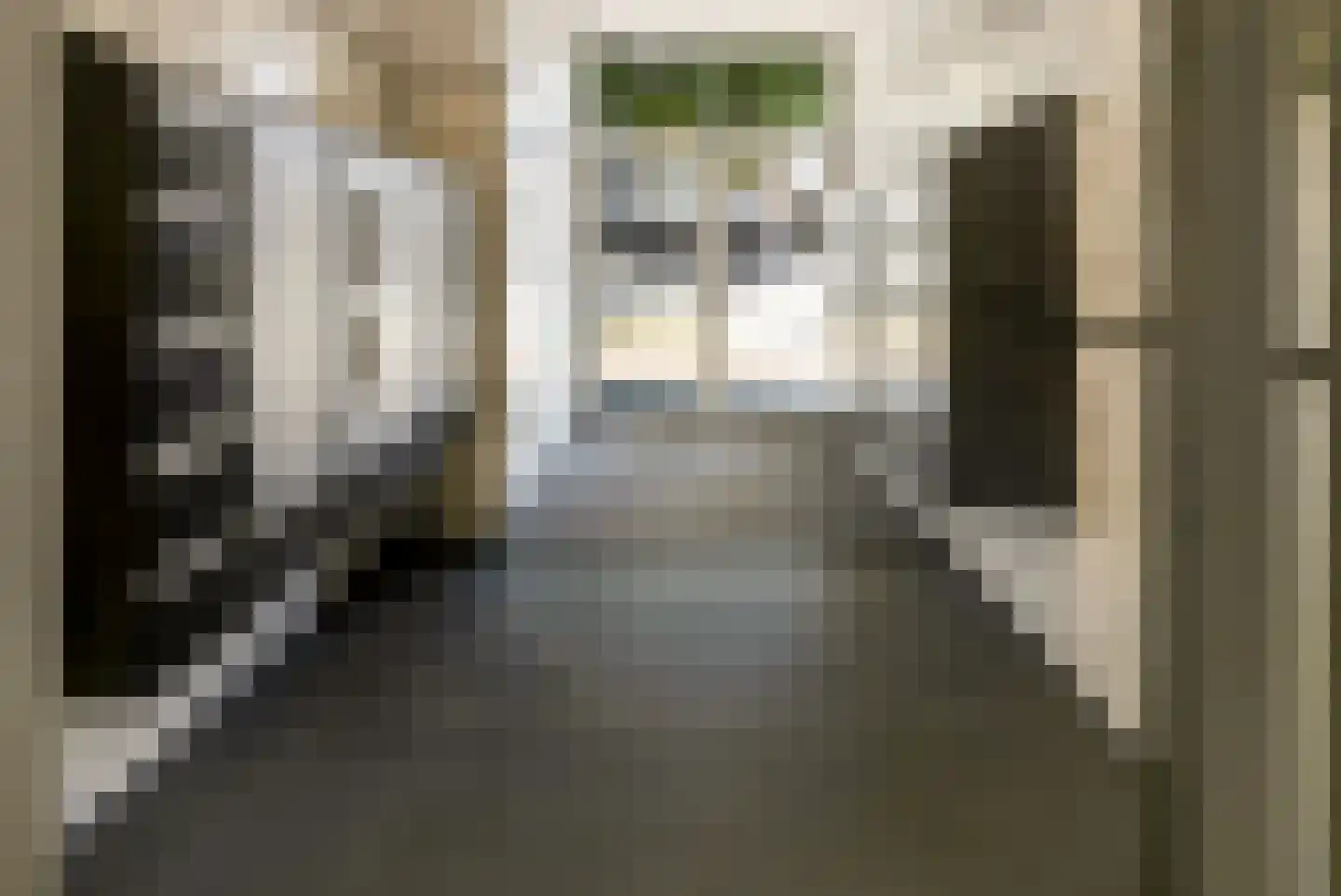 Goudsesingel 350 Rotterdam thumbnail 27