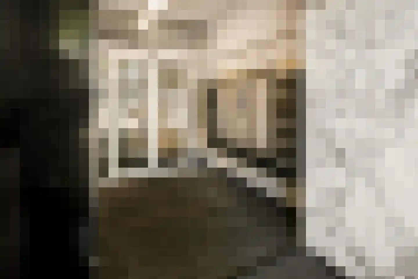 Goudsesingel 350 Rotterdam thumbnail 6