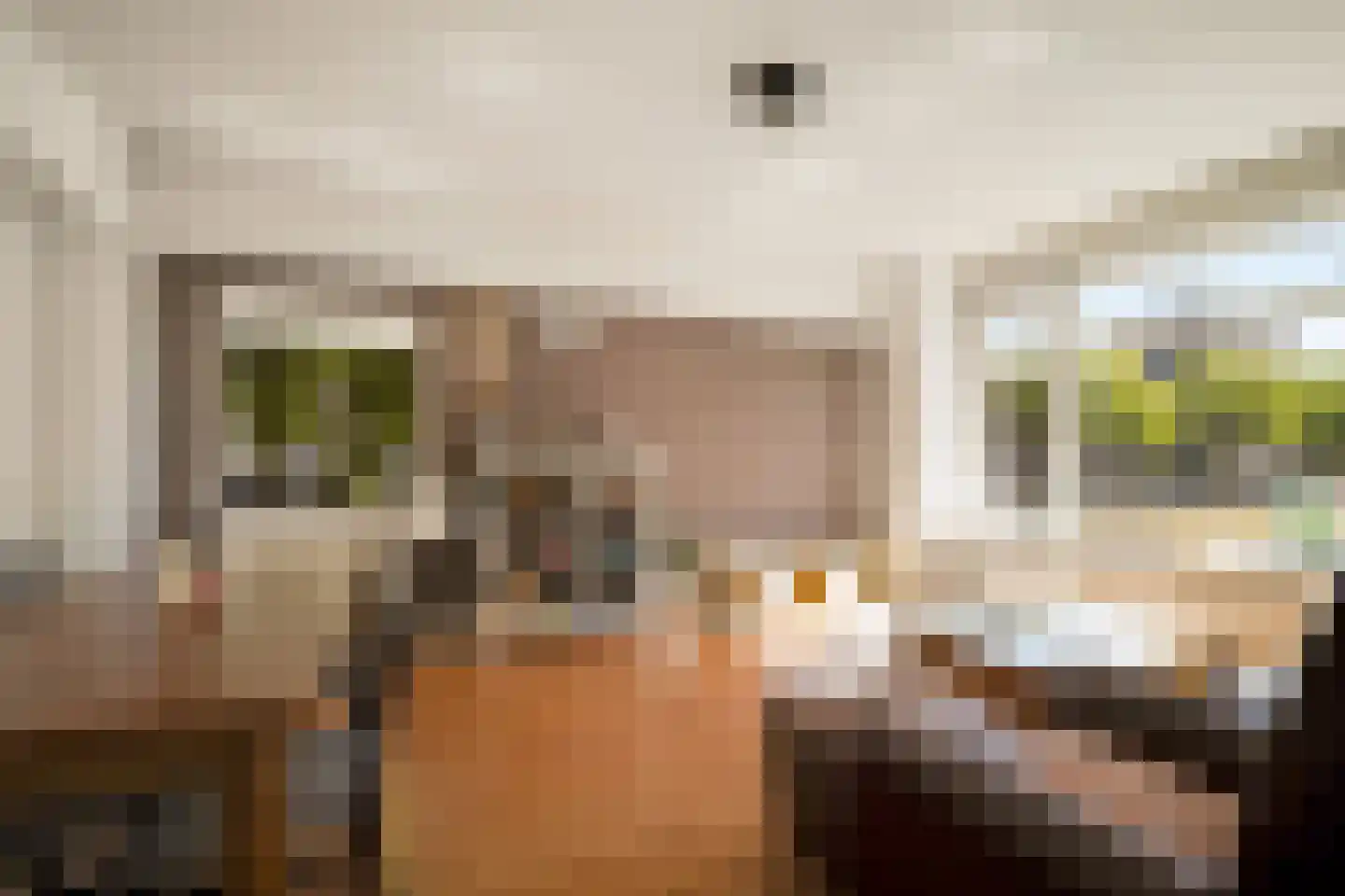 Goudsesingel 350 Rotterdam thumbnail 9