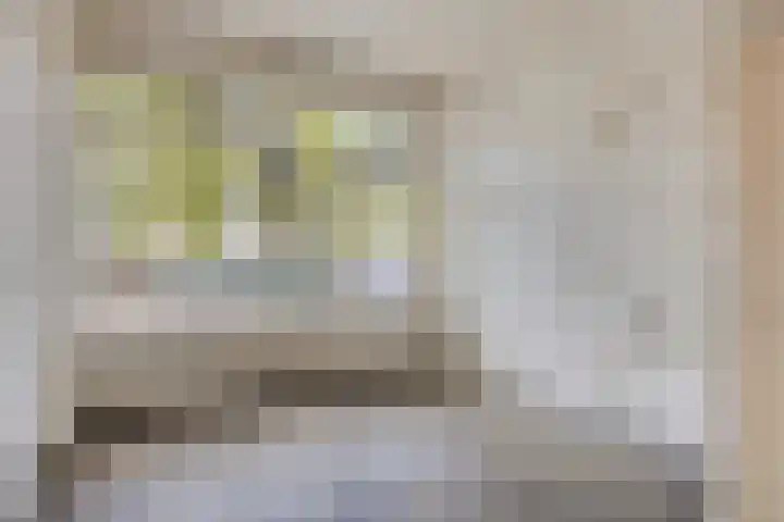 Goudsesingel 356 Rotterdam thumbnail 16
