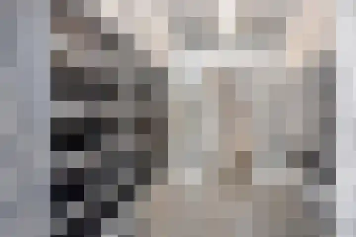Goudsesingel 356 Rotterdam thumbnail 4