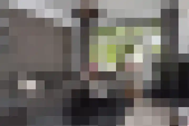 Goudsesingel 358 Rotterdam thumbnail 13