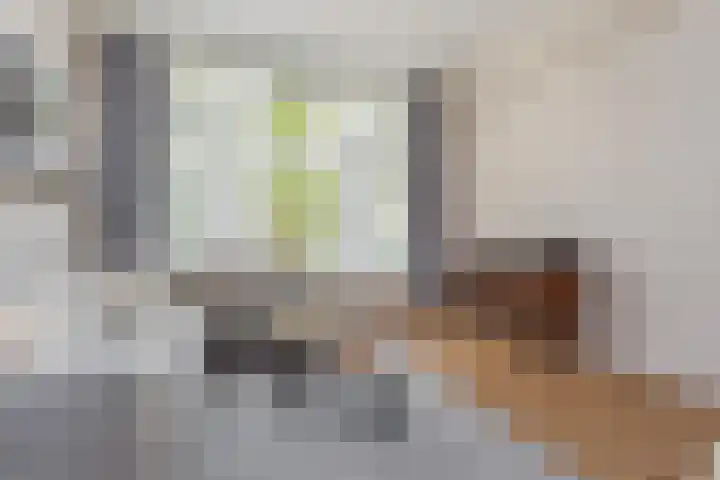 Goudsesingel 366 Rotterdam thumbnail 16