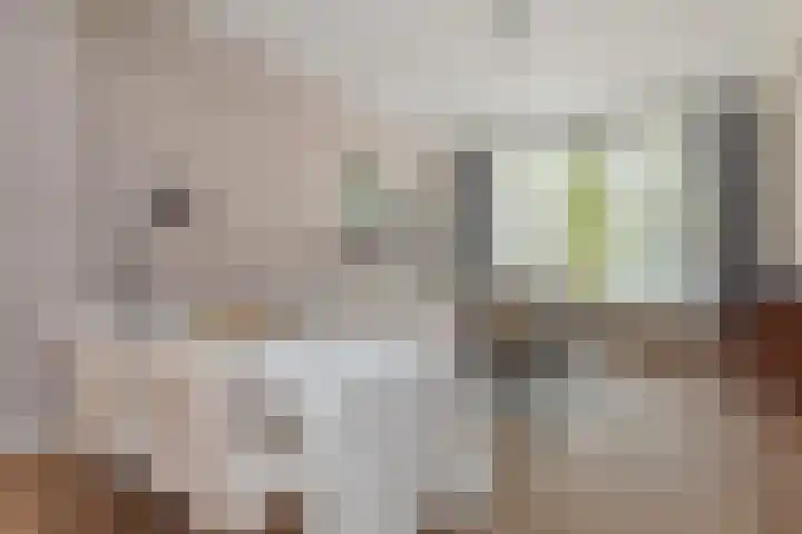 Goudsesingel 366 Rotterdam thumbnail 17