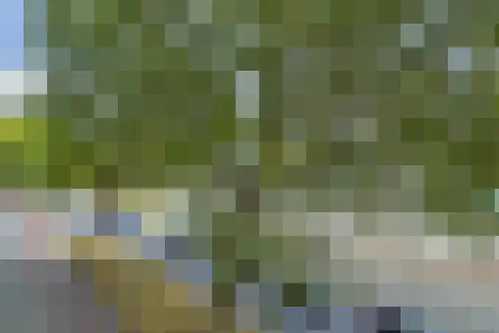 Goudsesingel 366 Rotterdam thumbnail 21
