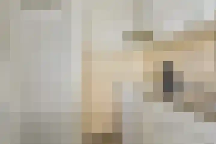 Goudsesingel 366 Rotterdam thumbnail 23