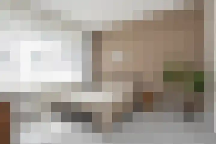 Goudsesingel 366 Rotterdam thumbnail 25