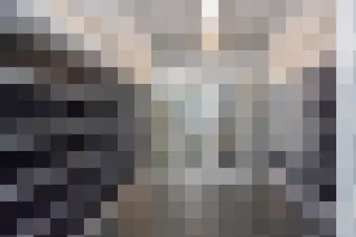Goudsesingel 366 Rotterdam thumbnail 5