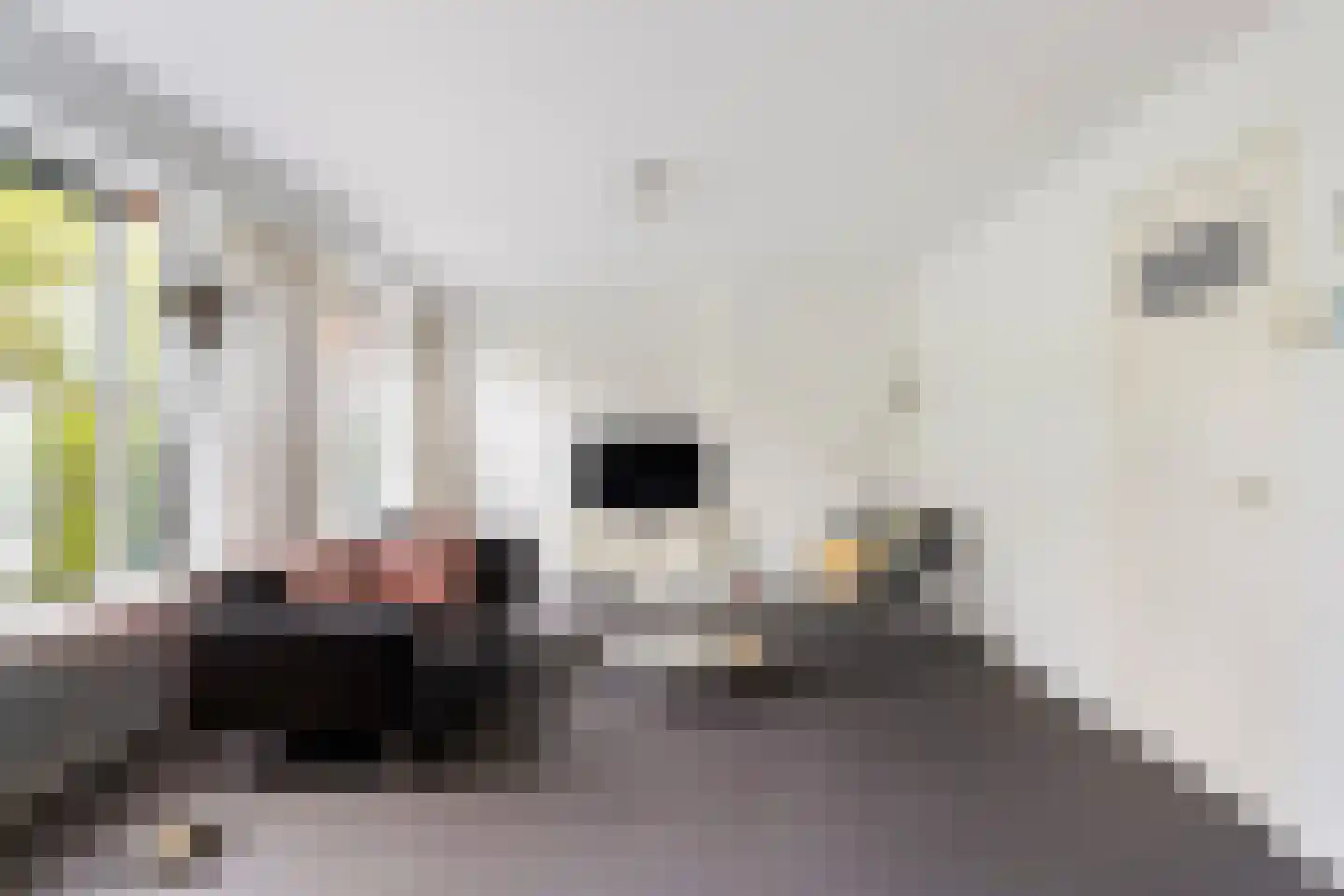 Goudsesingel 37 D Rotterdam thumbnail 10