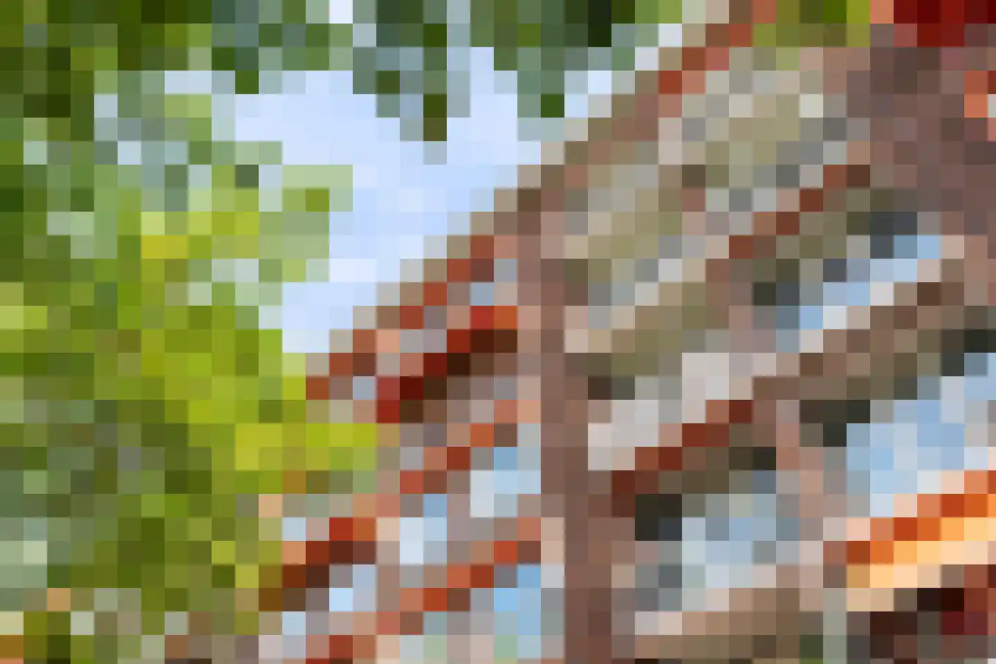 Goudsesingel 37 D Rotterdam thumbnail 5
