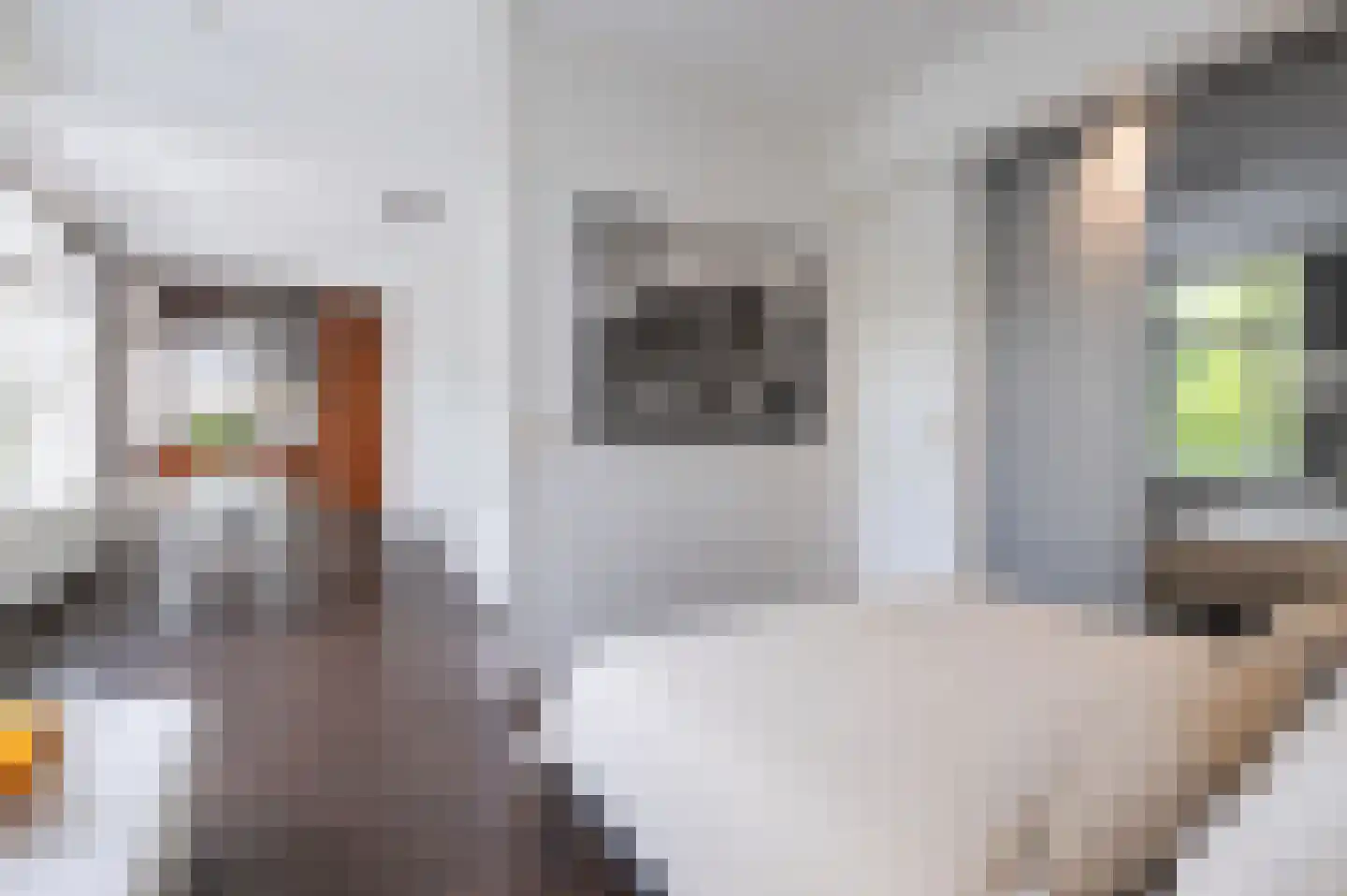 Goudsesingel 376 Rotterdam thumbnail 8