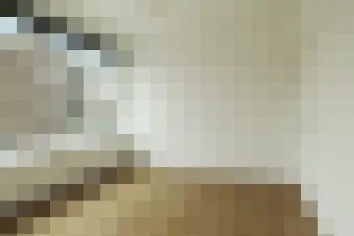 Goudsesingel 378 Rotterdam thumbnail 16