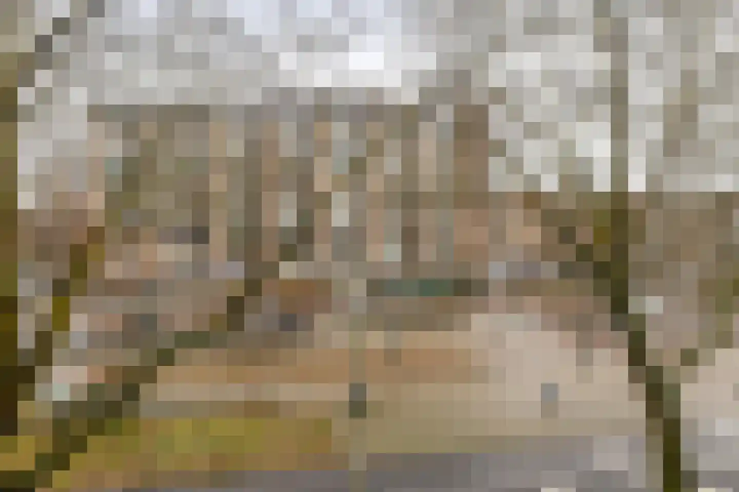 Goudsesingel 386 Rotterdam thumbnail 19