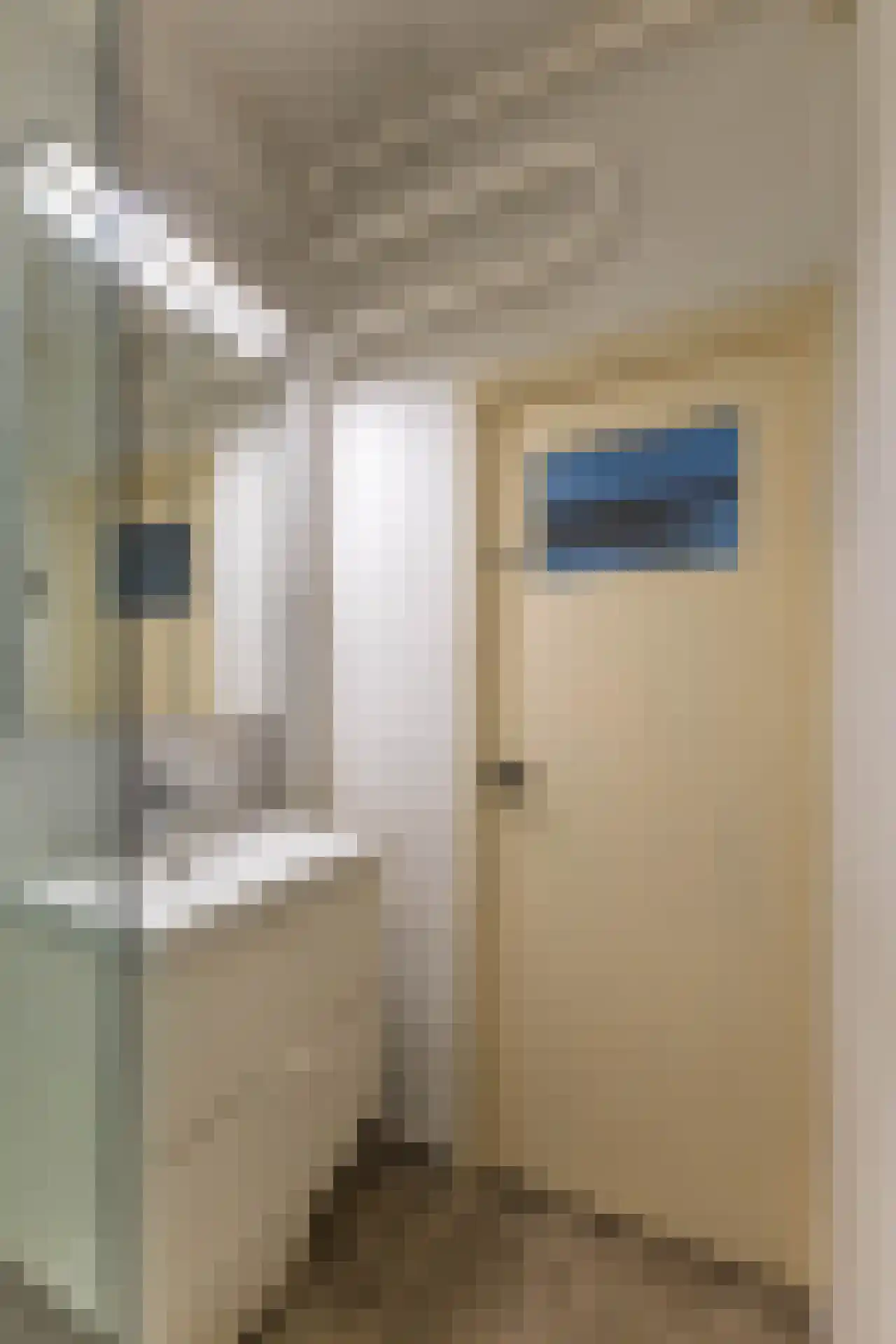Goudsesingel 388 Rotterdam thumbnail 14