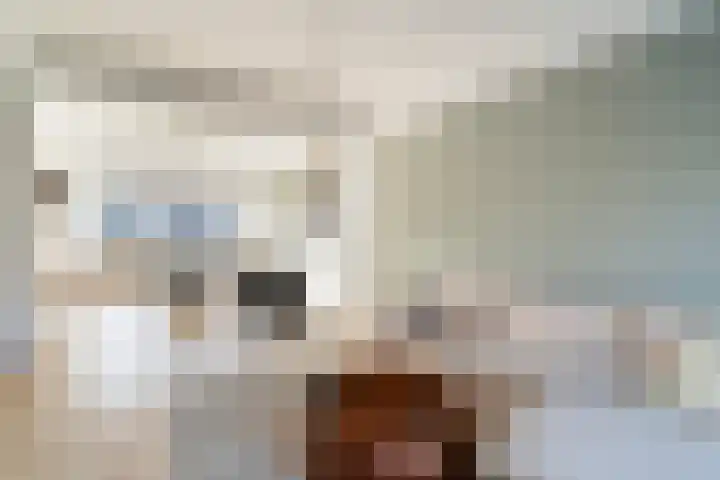 Goudsesingel 396 Rotterdam thumbnail 20