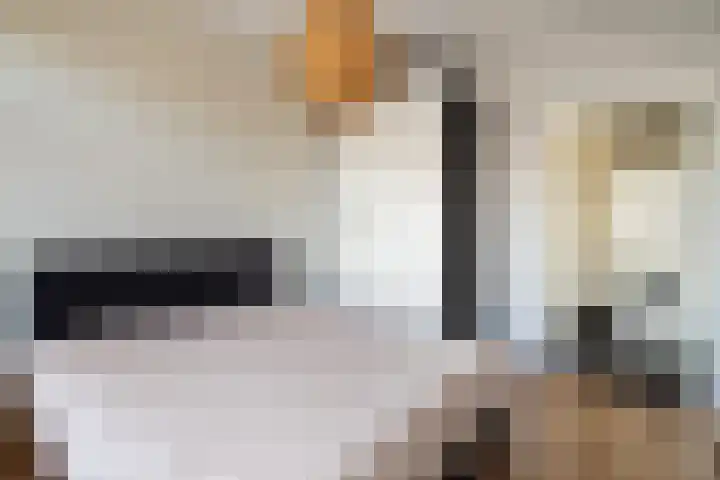 Goudsesingel 396 Rotterdam thumbnail 30