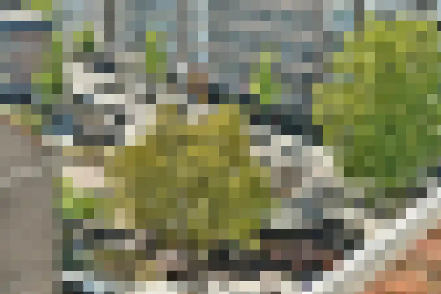 Goudsesingel 436 Rotterdam thumbnail 25