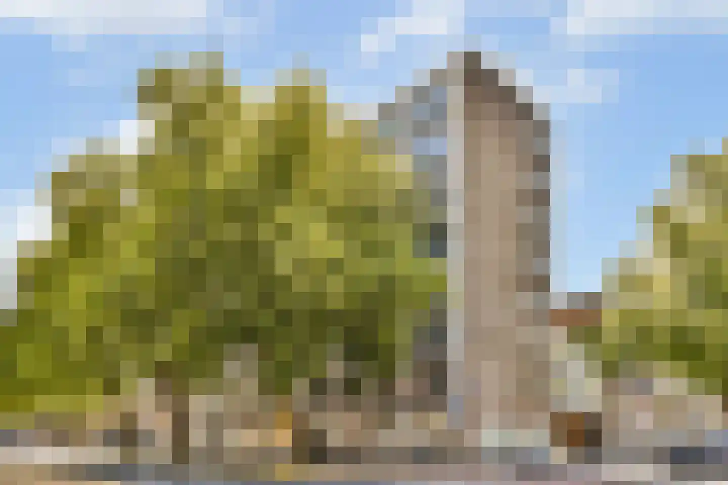Goudsesingel 436 Rotterdam thumbnail 4