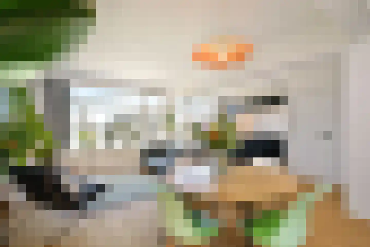 Goudsesingel 436 Rotterdam thumbnail 7