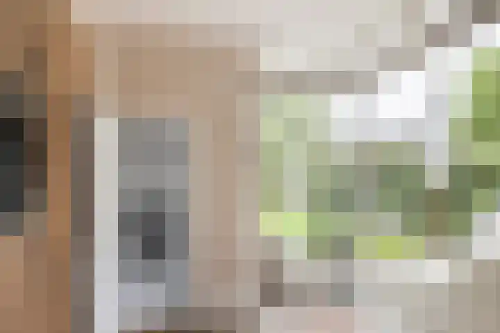 Goudsesingel 5 Vlaardingen thumbnail 18