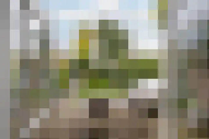 Goudsesingel 5 Vlaardingen thumbnail 20