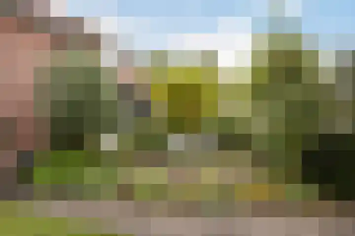 Goudsesingel 5 Vlaardingen thumbnail 37